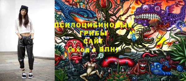не бодяженный Абаза